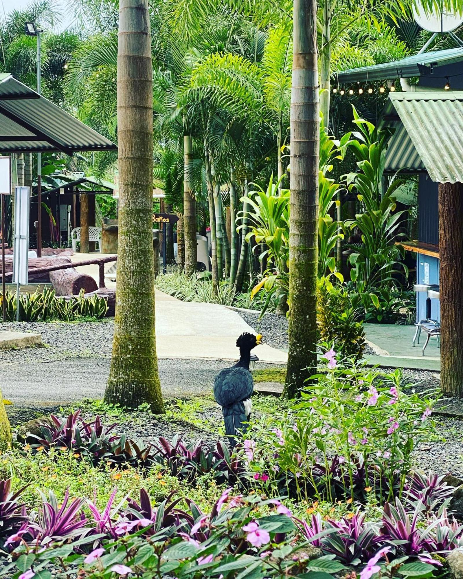 Termales Del Arenal Hotel La Fortuna Kültér fotó